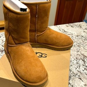 Uggs Classic Short boots Chestnut